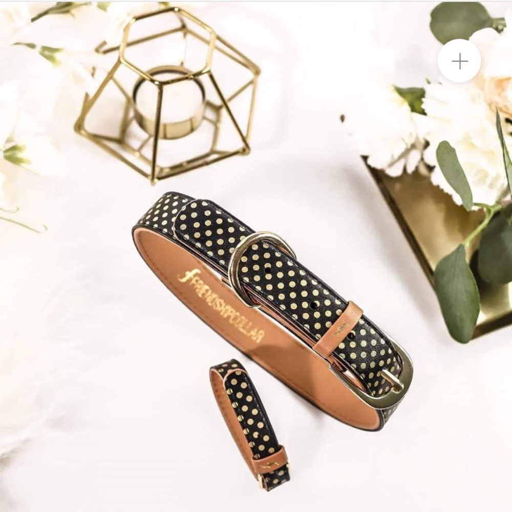 Dog Friendship Collar